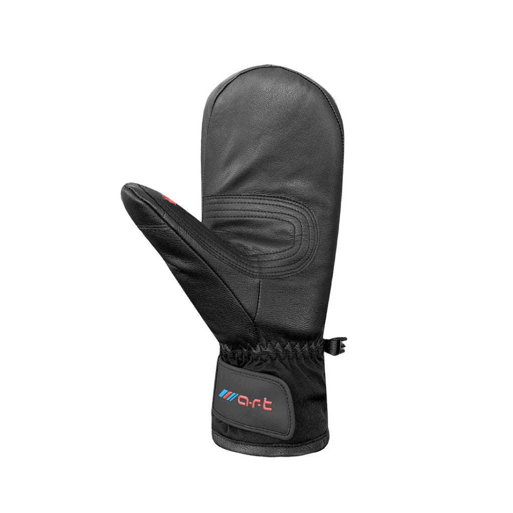 Mitts Auclair Junior Son of T 4 Black - Genetik Sport