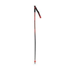 BÂTONS ROSSIGNOL HERO GS-SG - Genetik Sport